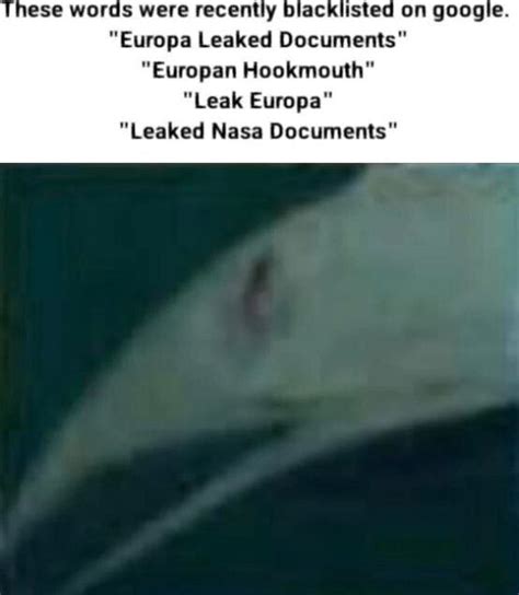 european hookmouth|Were NASA Documents Leaked About Life On Europa And。